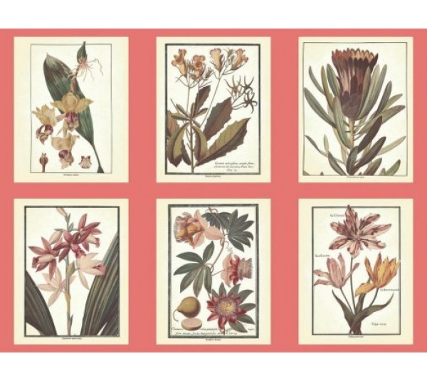 обои Ashford House Ashford Toiles AF1931