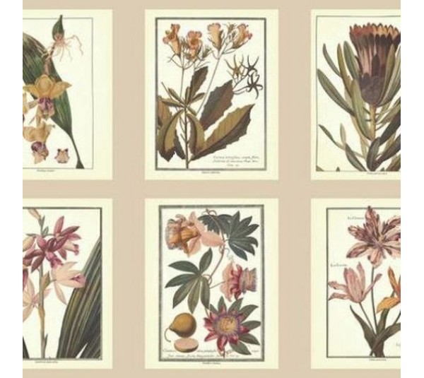 обои Ashford House Ashford Toiles AF1933