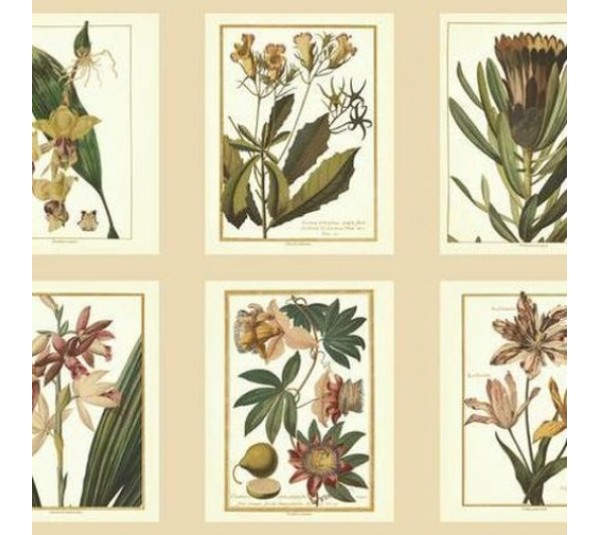 обои Ashford House Ashford Toiles AF1932