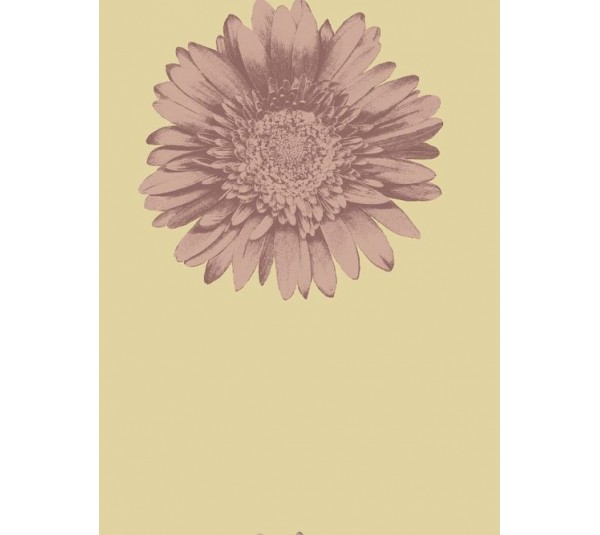 обои KT-Exclusive Etchings ET31609