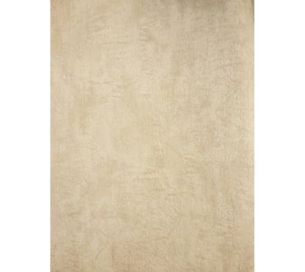 обои Zambaiti DC Trend 3862