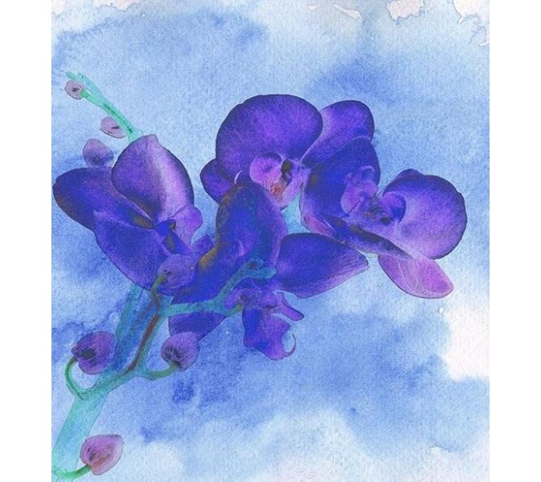 обои Q.Parete Fiore FI408.004