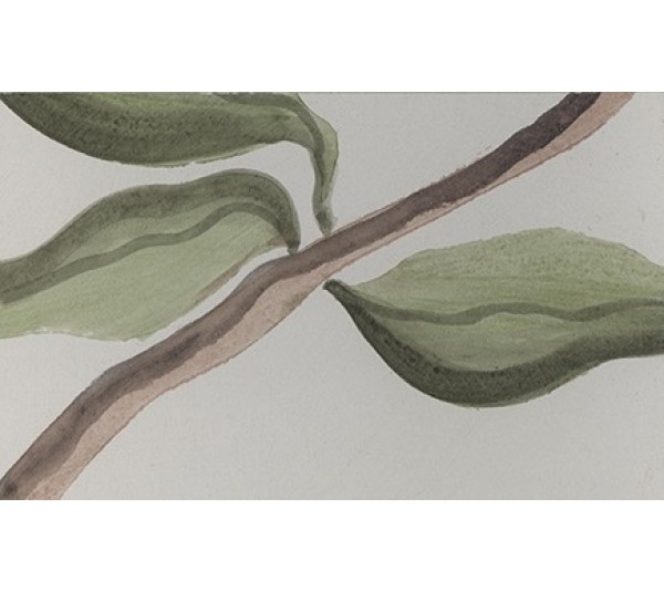 обои Marburg  Horus                                                                                 