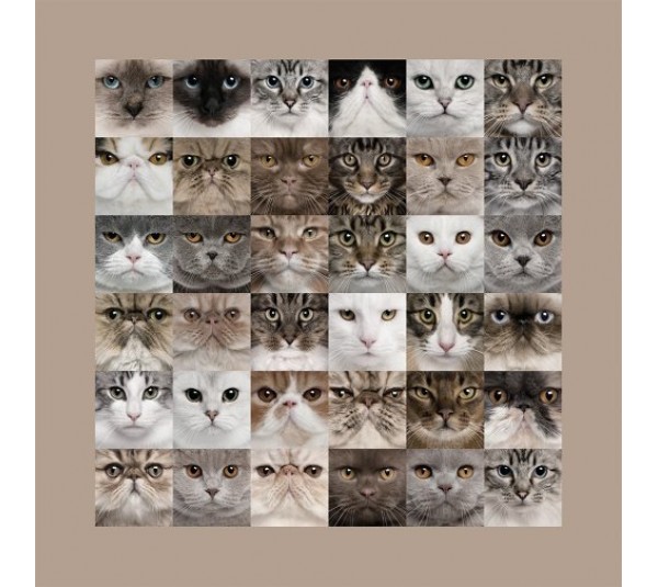 обои Loymina Illusion vol. II DA001