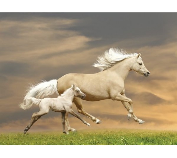 обои Loymina Illusion vol. II DA004