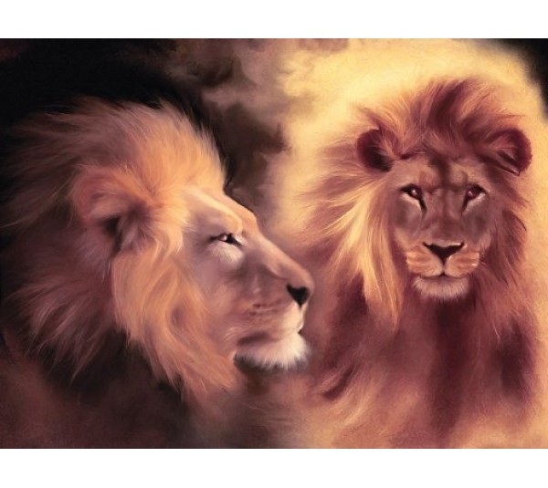 обои Loymina Illusion vol. II DA007