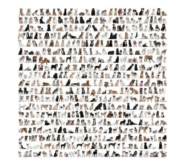 обои Loymina Illusion vol. II DA002