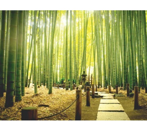 обои Loymina Illusion vol. II DS025