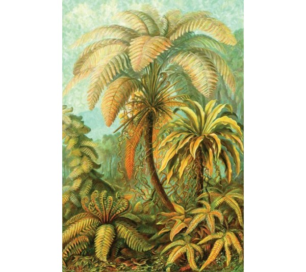 обои Loymina Illusion vol. II DS024