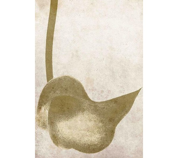 обои Q.Parete Fiore FI411.001