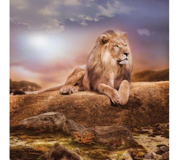 обои Loymina Illusion vol. II DA008