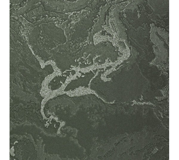 обои Bernardo Bartalucci Gaga 84282-29