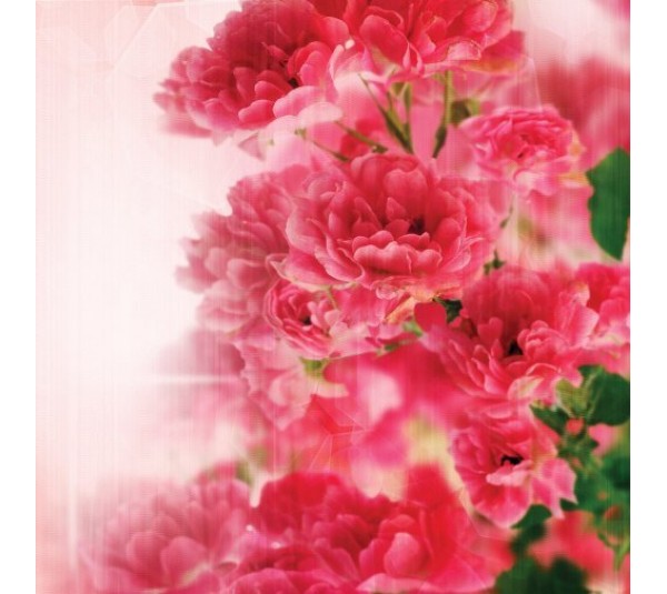 обои Loymina Illusion vol. II DFL003