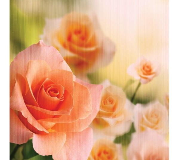 обои Loymina Illusion vol. II DFL002