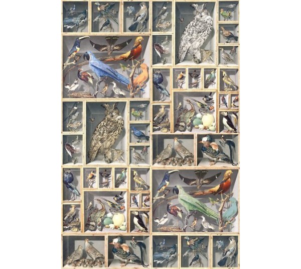 обои Loymina Illusion vol. II DC049