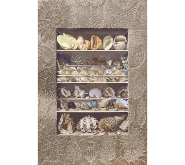 обои Loymina Illusion vol. II DC048