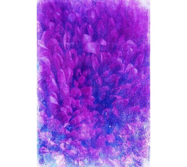 обои Q.Parete Fiore FI420.003