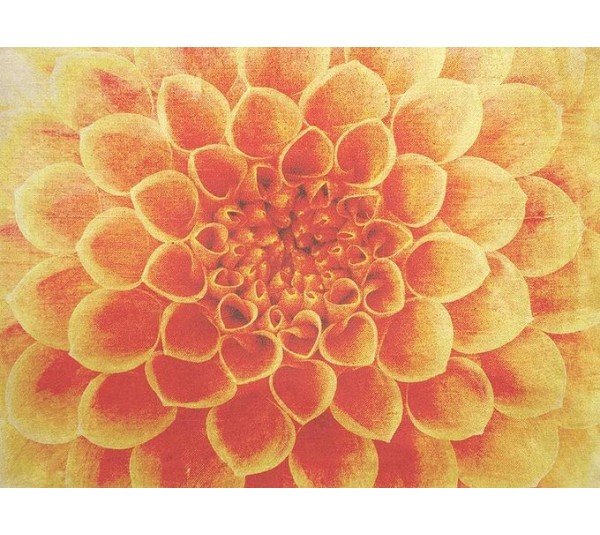 обои Q.Parete Fiore FI422.001