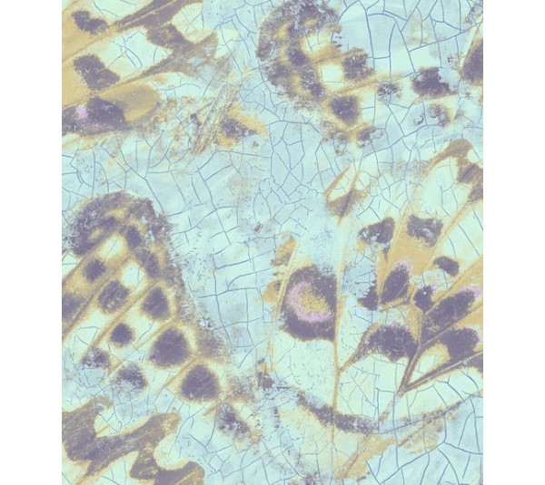 обои Wallquest Mayflower Aerial  fj090205 обои Wallquest Mayflower Aerial  fj090205