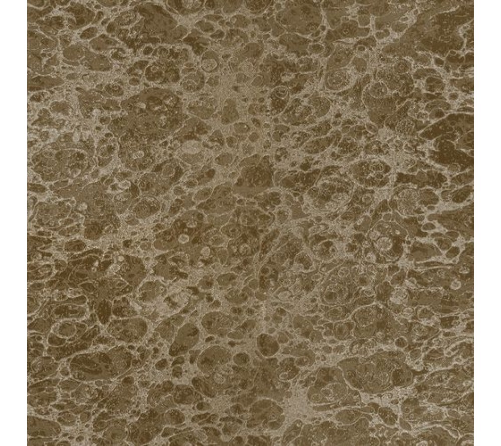 обои Zambaiti Trussardi 55-серия  5566