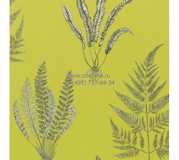 обои Sanderson Painter's Garden DAPGWO101