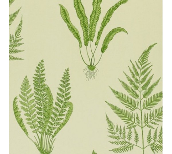 обои Sanderson Painter's Garden DAPGWO102