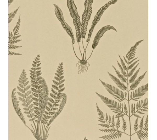 обои Sanderson Painter's Garden DAPGWO103