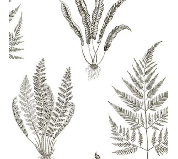 обои Sanderson Painter's Garden DAPGWO105