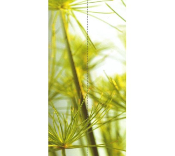 обои Caselio Duo 6304-70-00 обои Caselio Duo 6304-70-00