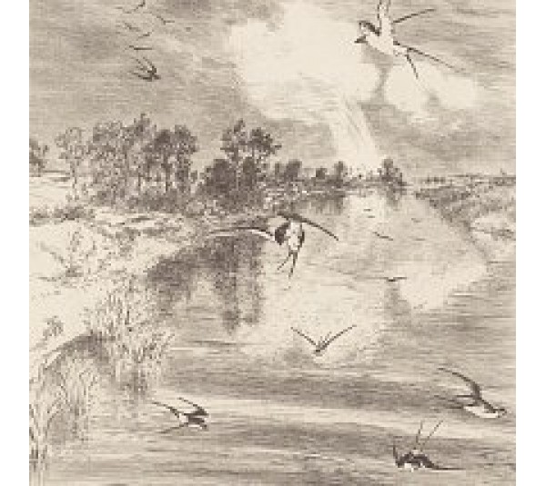 обои Eijffinger Geonature 366101