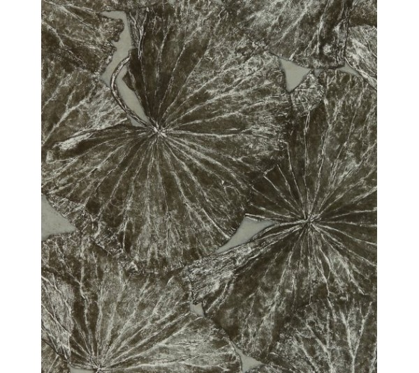 обои Zoffany Muse  312749