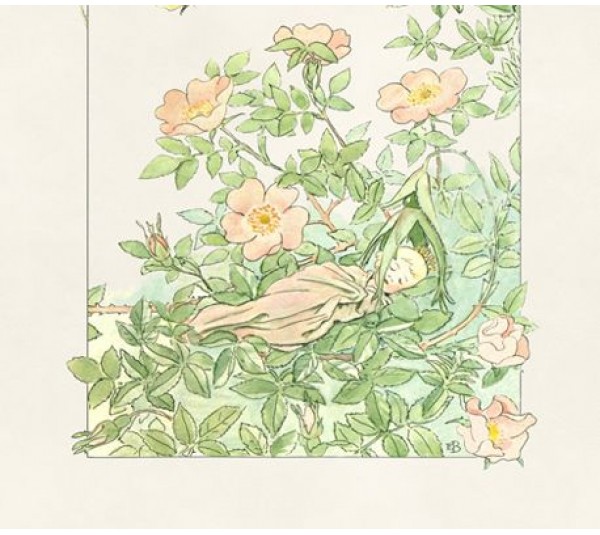 обои Borastapeter Scandinavian Designers Mini 6270