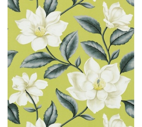 обои Sanderson Painter's Garden DAPGGR101