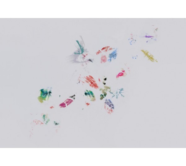 обои Coordonne 40th Anniversary 8000033