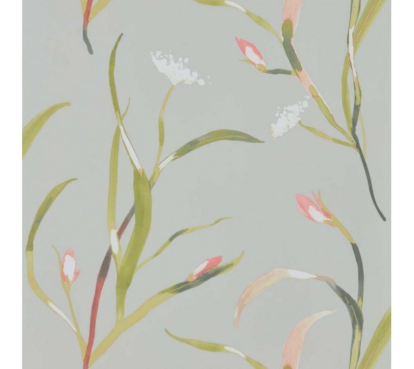 обои Harlequin Colour 2 111756 обои Harlequin Colour 2 111756