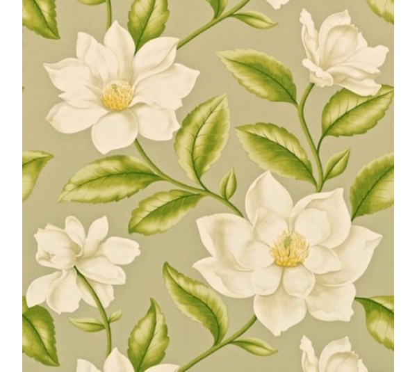 обои Sanderson Painter's Garden DAPGGR104