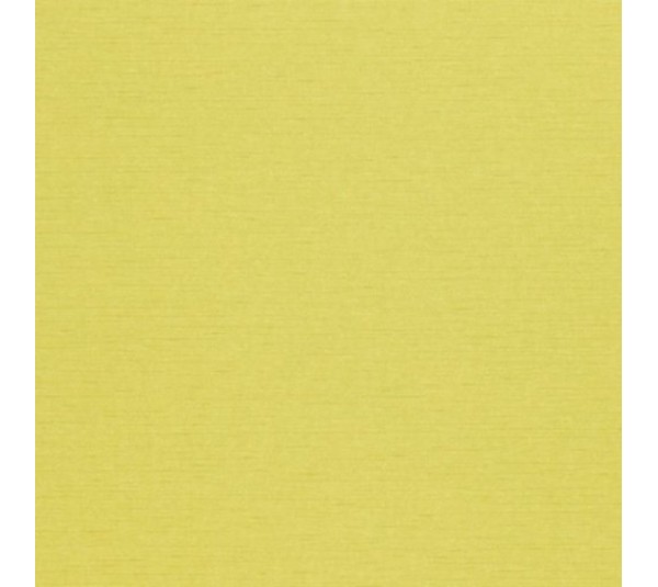 обои Sanderson Painter's Garden DAPGLD104