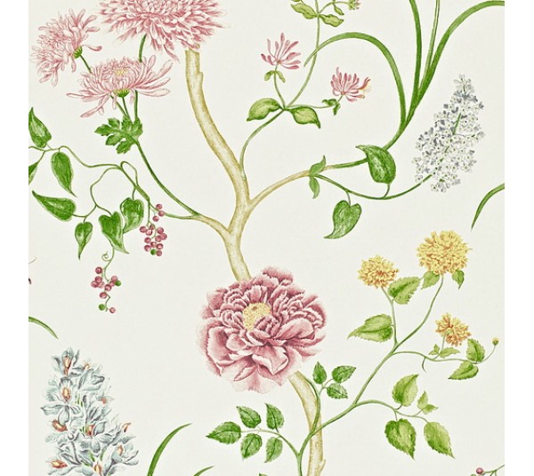 обои Sanderson Painters Garden DAPGST103