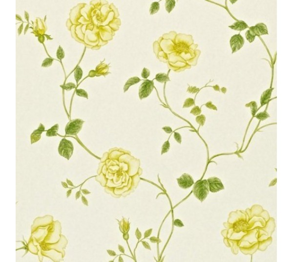 обои Sanderson Painter's Garden DAPGRO102