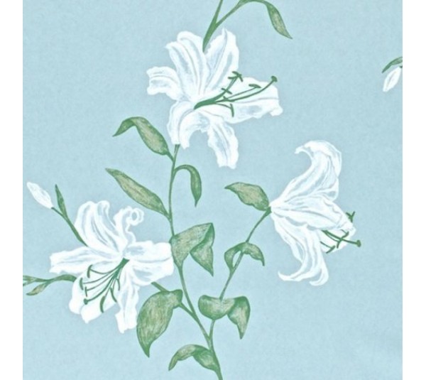 обои Sanderson Painter's Garden DAPGSE103