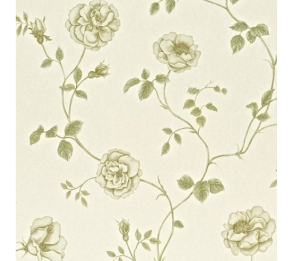 обои Sanderson Painter's Garden DAPGRO101