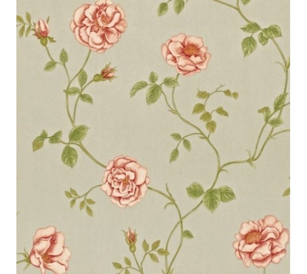 обои Sanderson Painter's Garden DAPGRO103