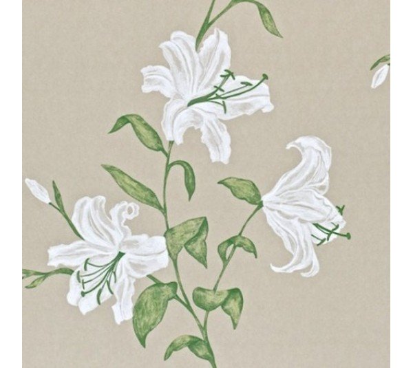 обои Sanderson Painter's Garden DAPGSE102