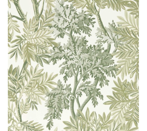 обои Sanderson Country Woodland 217416