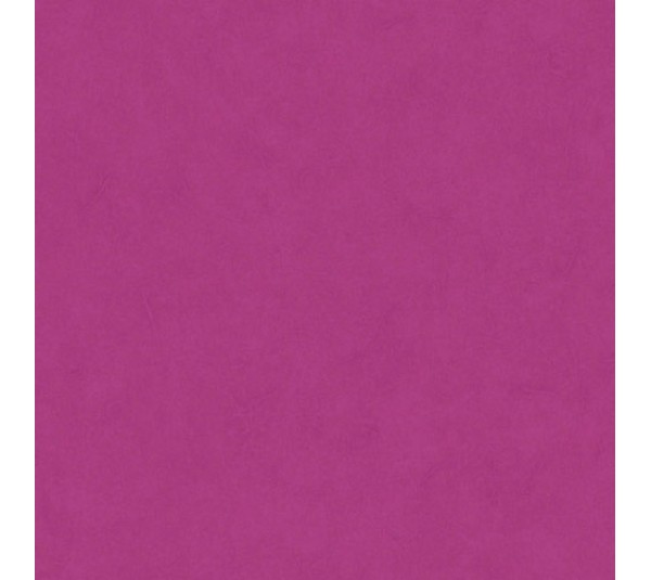 обои Casadeco So Color 2 SCR10005110
