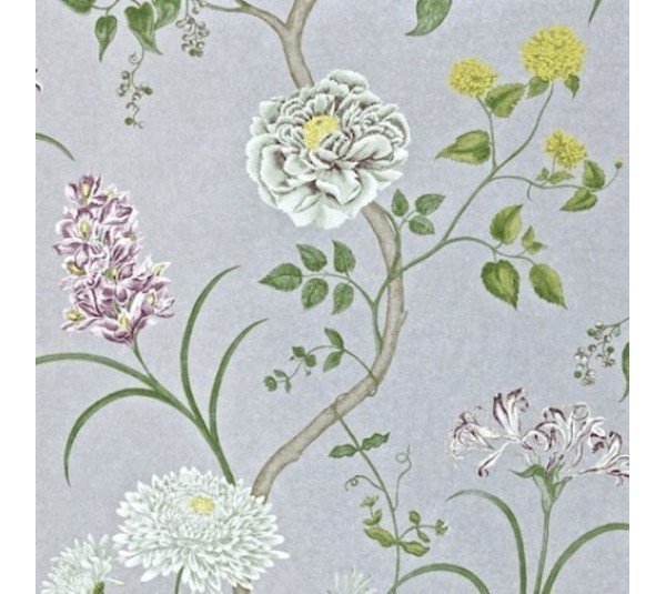обои Sanderson Painter's Garden DAPGST105