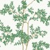 обои York Blooms Second Edition BL1801