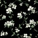 обои York Blooms Second Edition BL1764