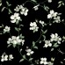обои York Blooms Second Edition BL1764