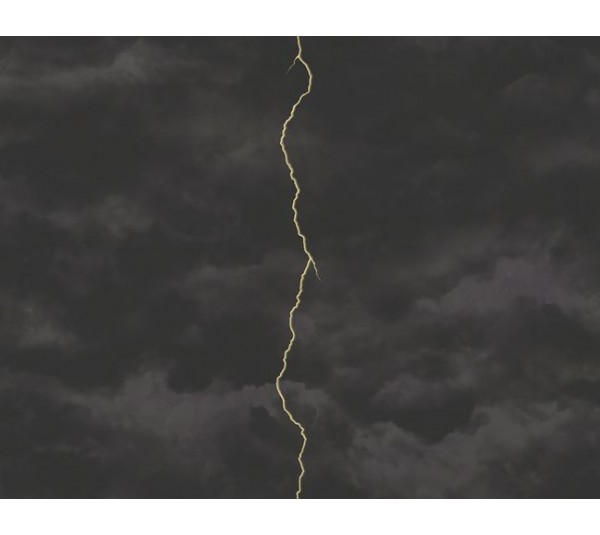 обои KT-Exclusive Mayflower Aerial fj000208